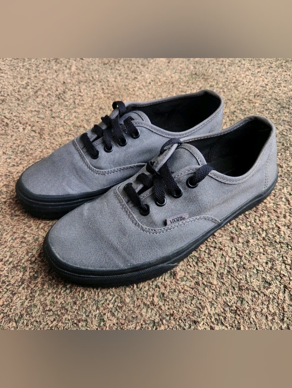 Vans Authentic Skateboard Shoes